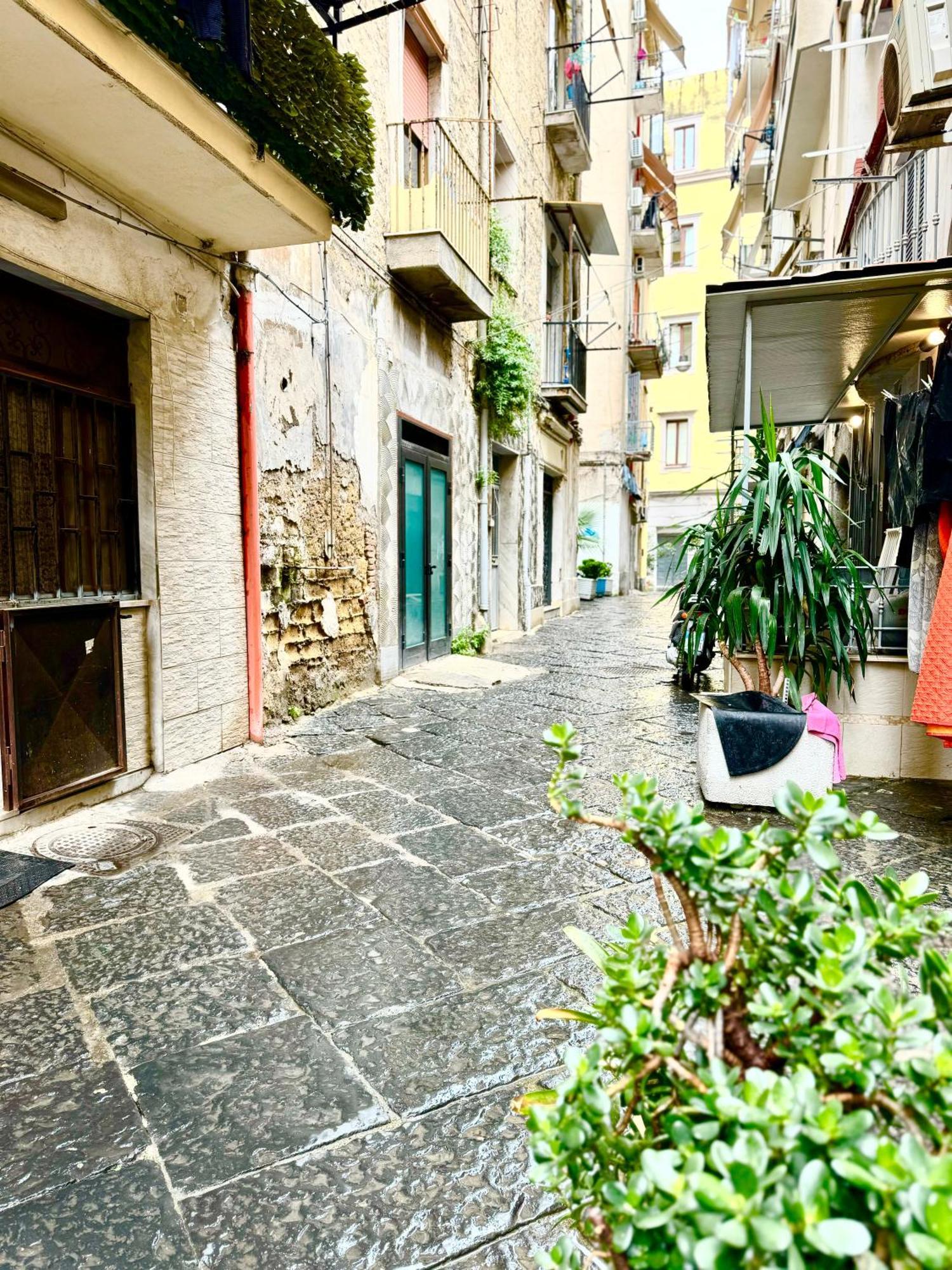 Vesuvius House Apartment Наполи Екстериор снимка